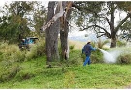 Rapid Spray 325l Marshal Pro With 30m Hose Reel - Image 3